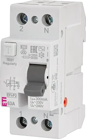 EFI-P2 AC 63/0.3