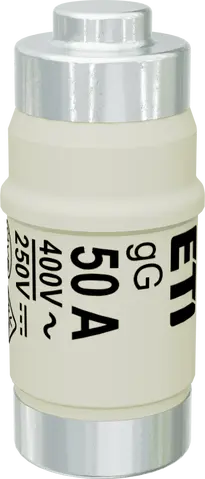 Image of D02 gG 50A/400V